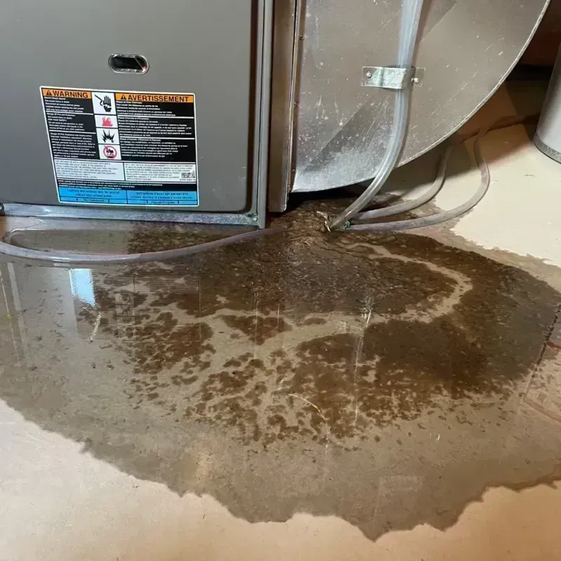 Appliance Leak Cleanup in California, MO